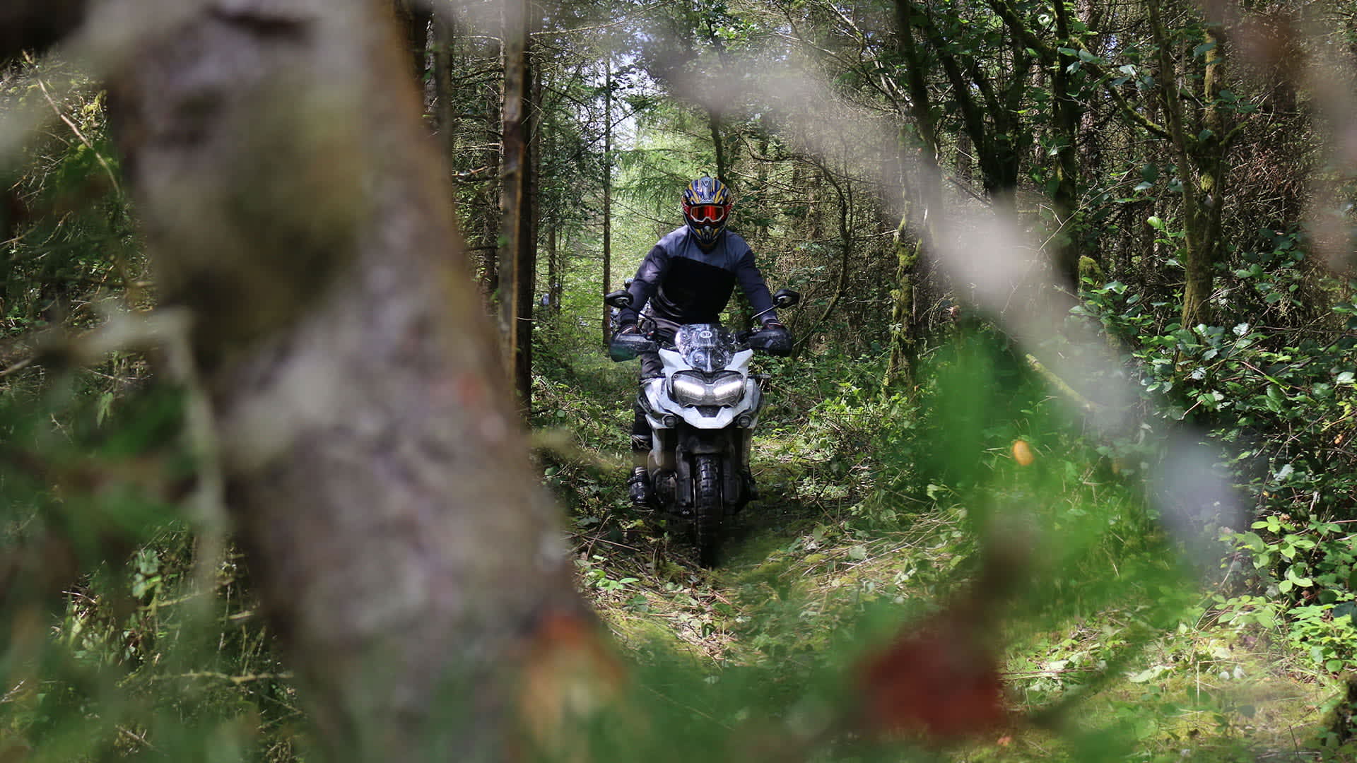 Triumph off road experience cheap